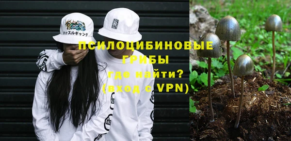 а пвп мука Горняк