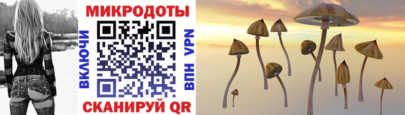 Псилоцибиновые грибы Magic Shrooms  Задонск 